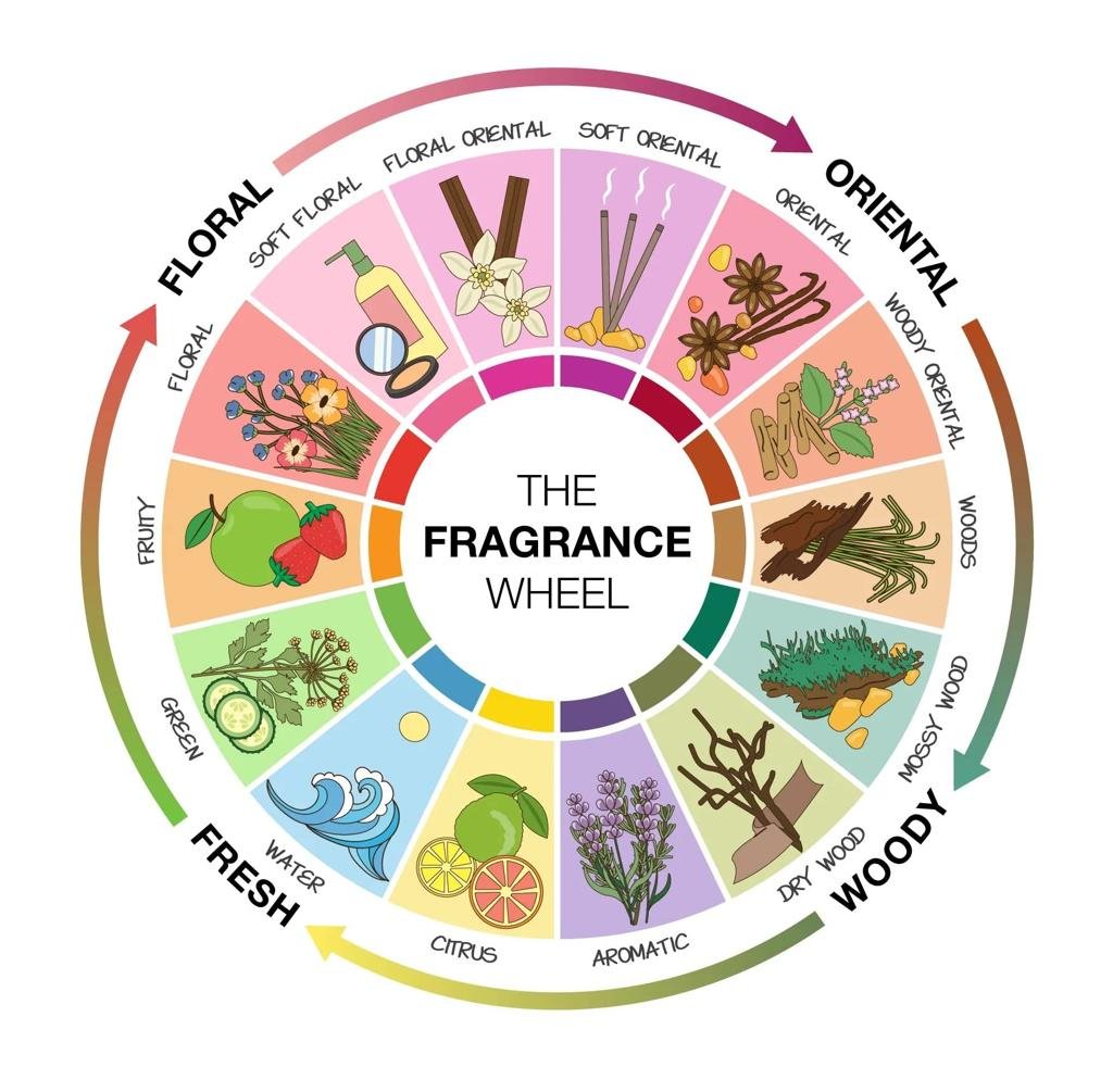 Men's fragrance families and scent categories