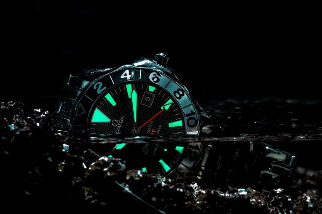 Luxury diver watch