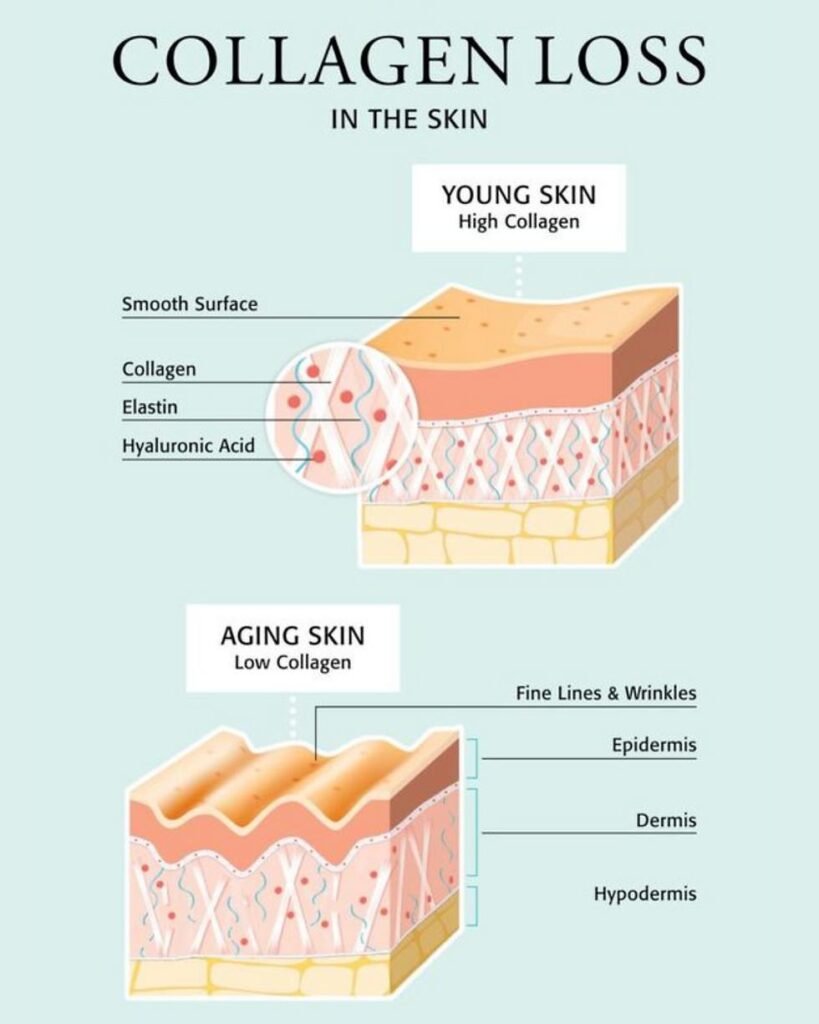 Moisturizer for Dry Aging Skin 