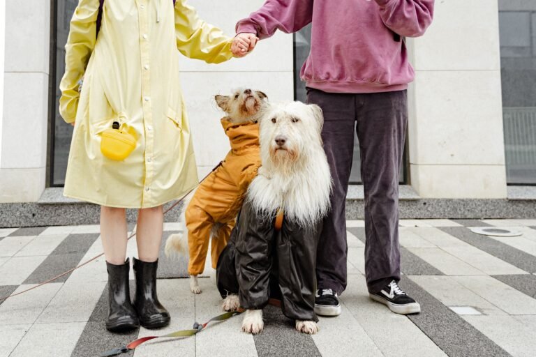 Waterproof Dog Raincoat
