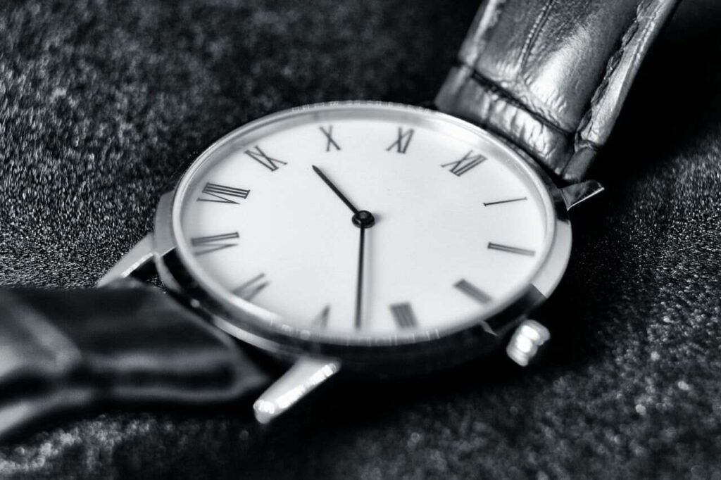 Cleaning a luxury wristwatch
